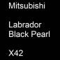 Preview: Mitsubishi, Labrador Black Pearl, X42.